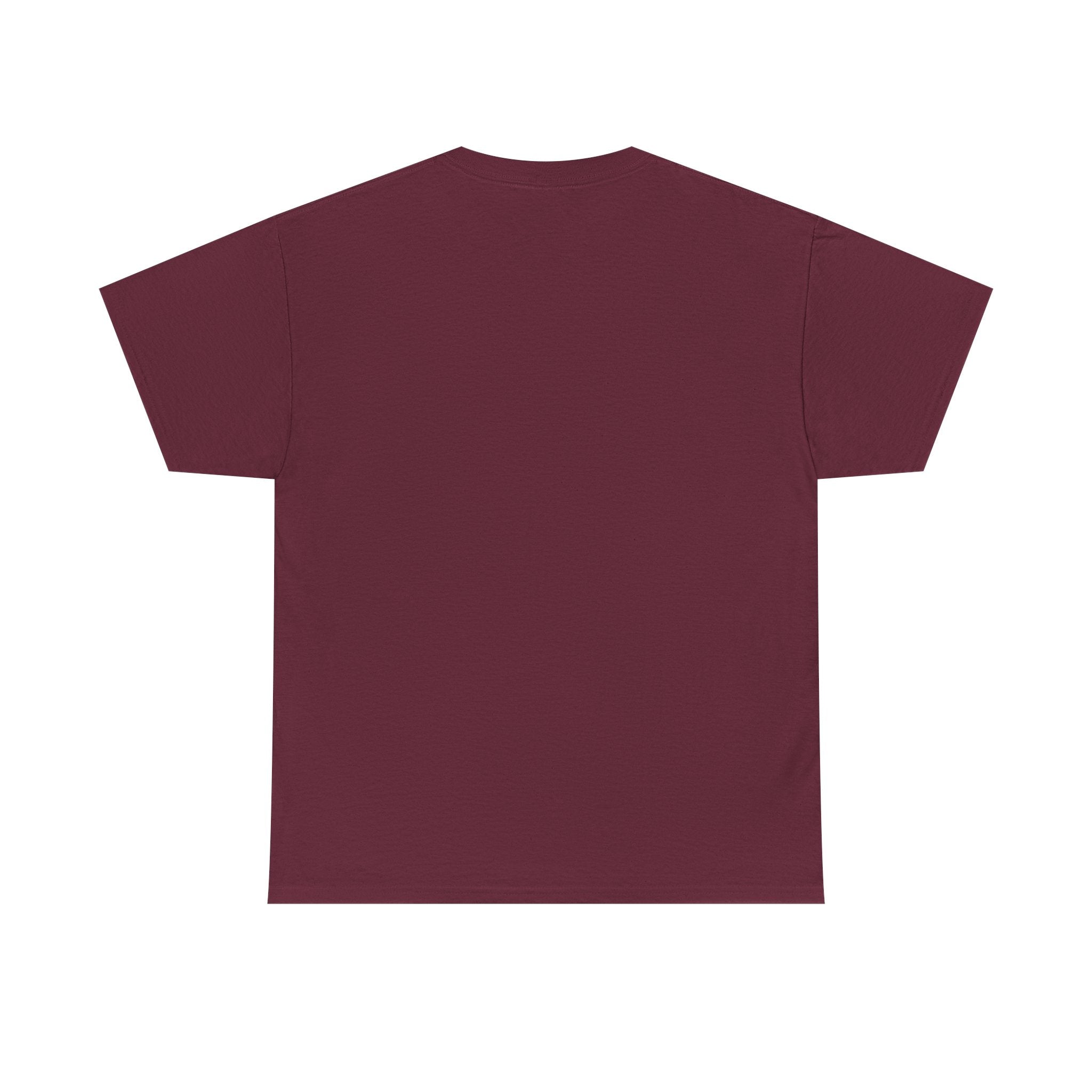 Unisex Manasseh & Ephraim Design #2 Tee