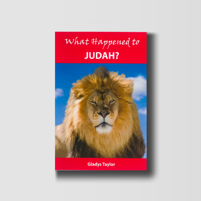 What Happened to Judah? image 0