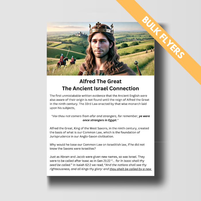 Alfred The Great - Bulk Flyers image 0