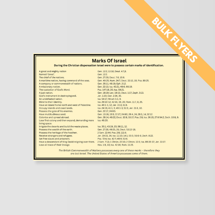 Marks of Israel - Bulk Flyers image 0