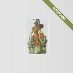 Postcards 5 Pack - Free Postage image 5