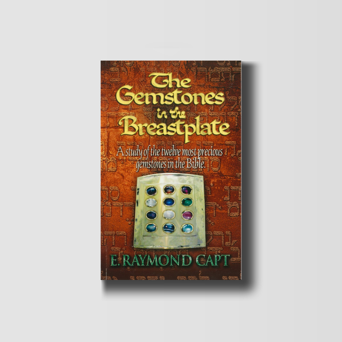 The Gemstones in the Breastplate image 0