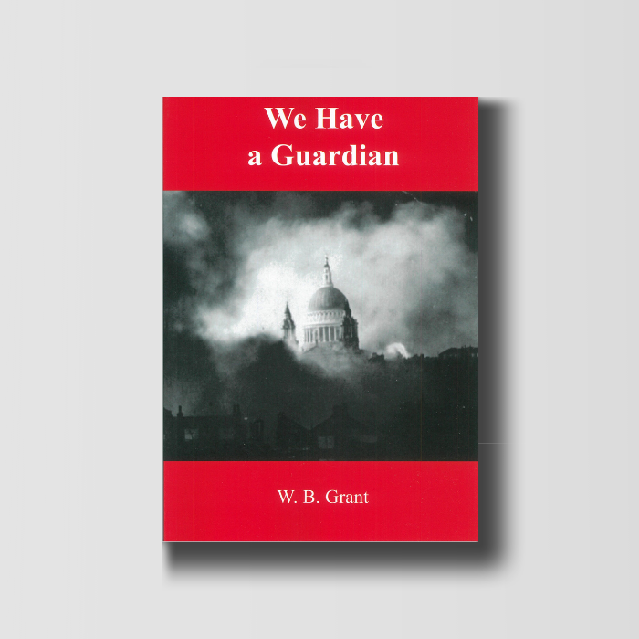 We Have a Guardian image 0